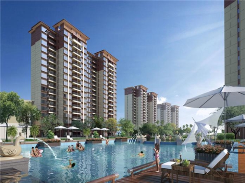 为什么大家都看好椰海新城三期棕榈园前景