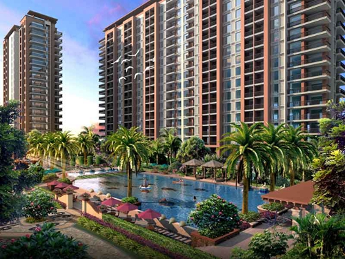 金龙大观有没有生纸空间？