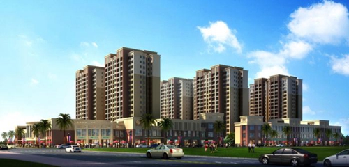 北方候鸟去海南过冬住哪里适合2