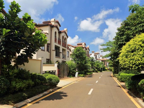 采凉山森林公园
