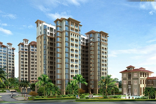 无刺枸骨树是不是护家树