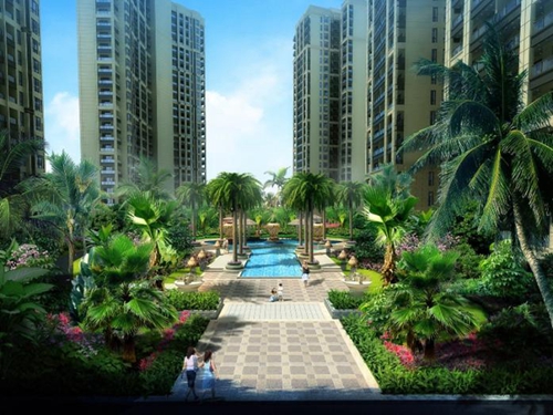 海湾雨林生纸空间解答